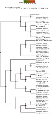 Recovery of terbium by Lysinibacillus sp. DW018 isolated from ionic rare earth tailings based on microbial induced calcium carbonate precipitation